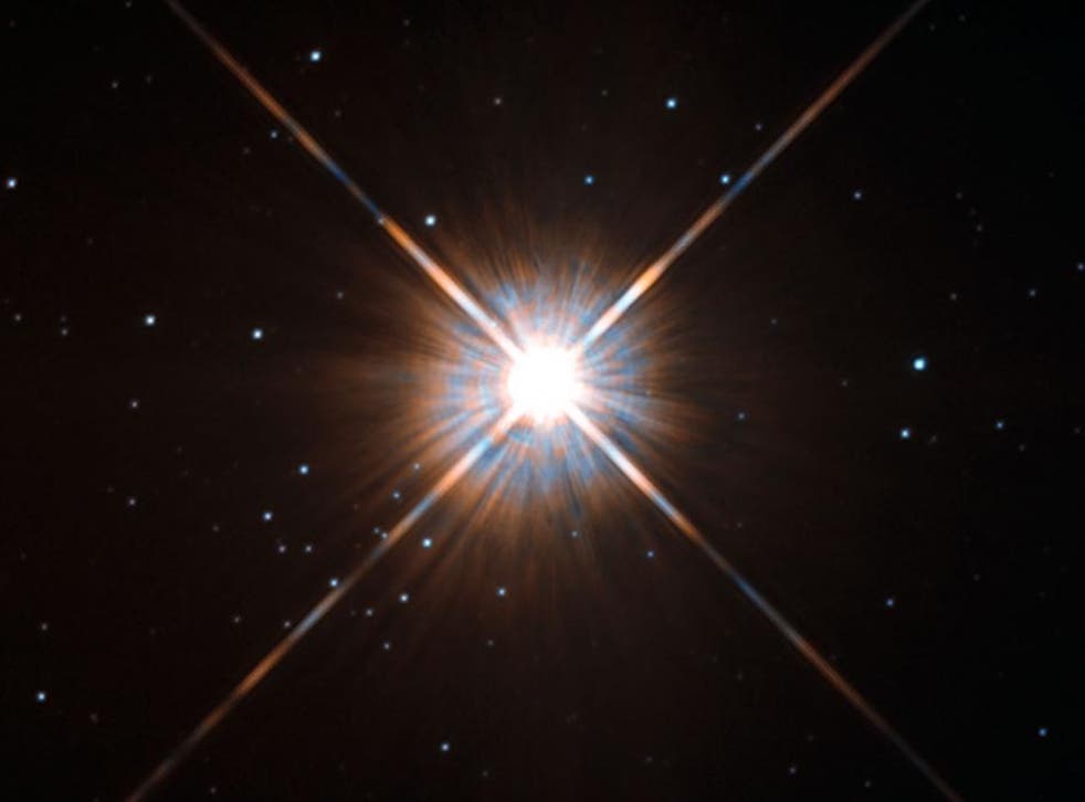 An image from Hubble of Proxima Centauri, which is our nearest neighbour and could be the home of another Earth