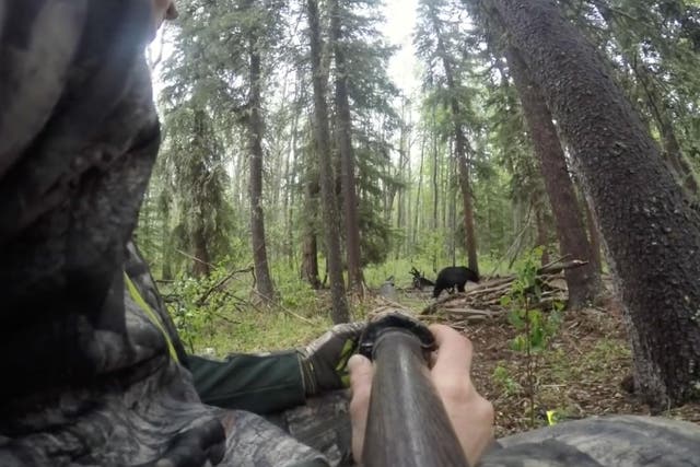 Spear hunting is legal in Alberta but not in Ontario