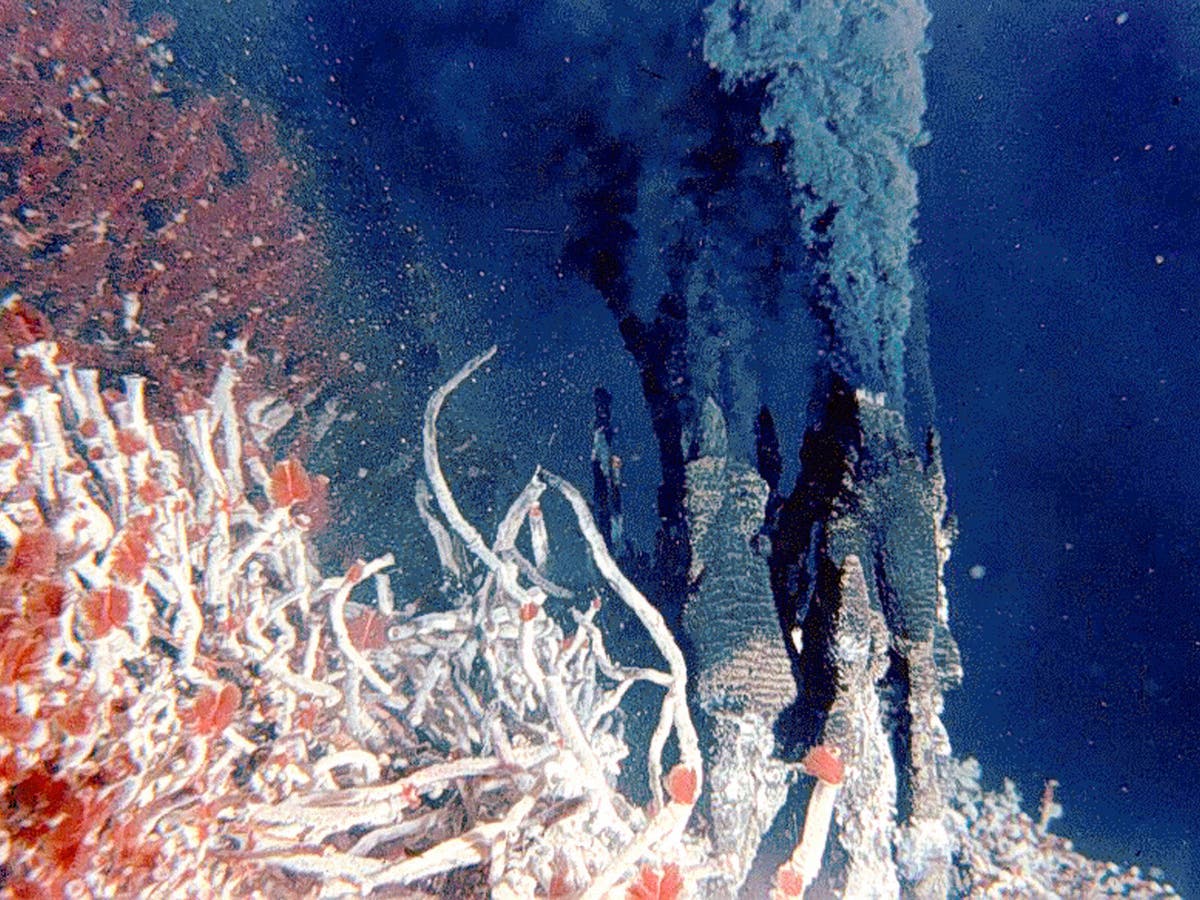 Черные курильщики океана. Гидротермальные источники черные курильщики. Глубоководные рифтовые зоны океана. Глубоководные гидротермальные источники. Тихий океан гидротермальные источники.