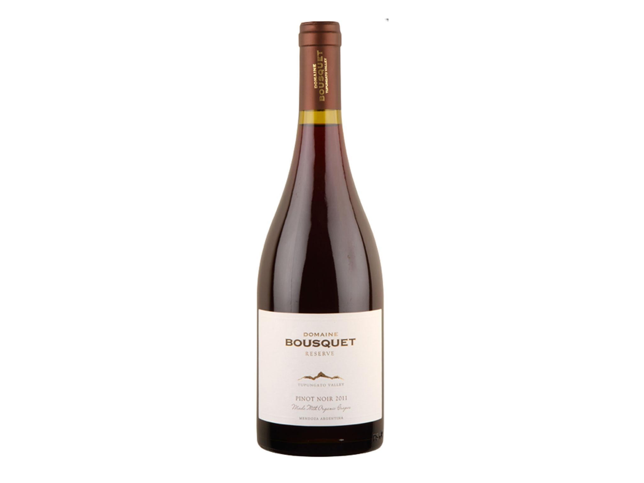 Asmr Pinot Noir