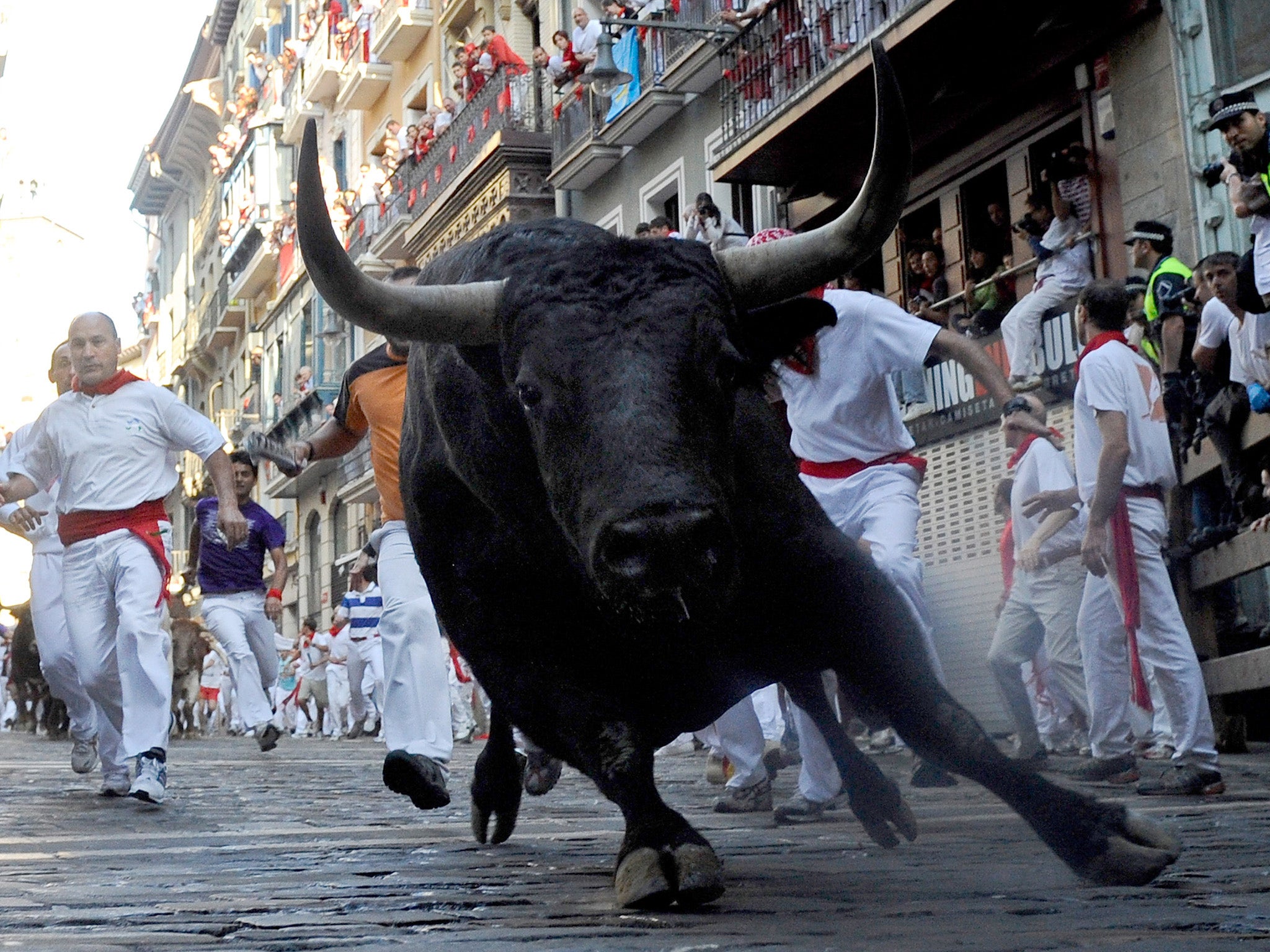 Running Of The Bulls 2024 Ilysa Leanora