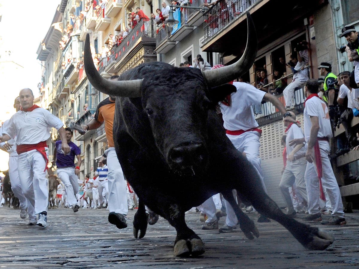 running of the bulls in spain