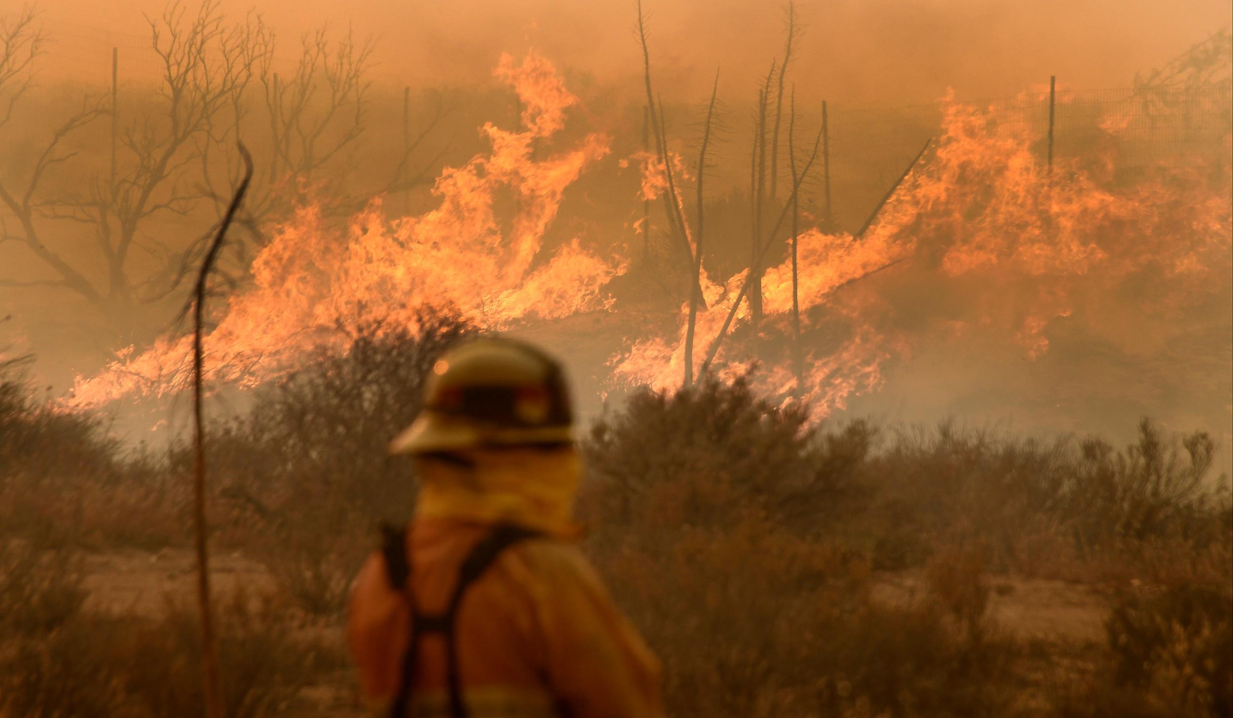 A firefighter watches the so-called Bluecut Fire in the San Bernardino National Forest in San Bernardino County, California
