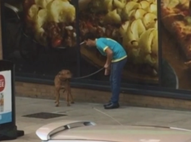 The man pictured was caught on CCTV punching a dog outside a supermarket in London