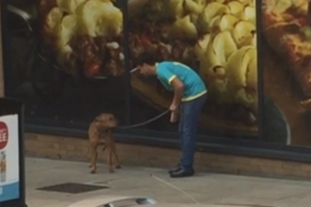 The man pictured was caught on CCTV punching a dog outside a supermarket in London