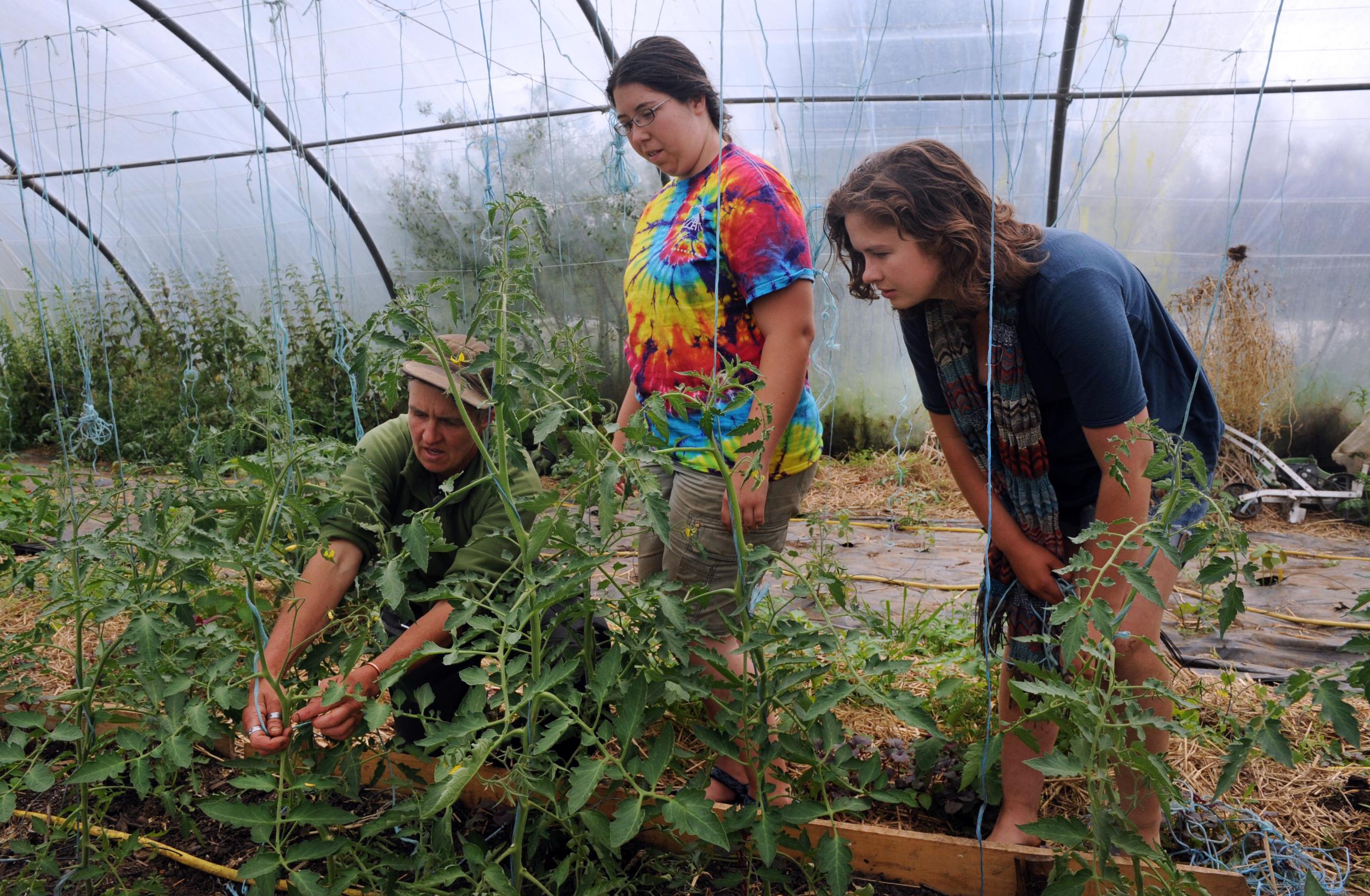 Get stuck into farm life with WWOOF (Andia/UIG/Getty)