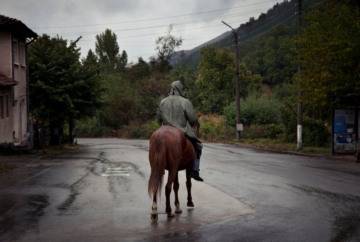 Near Vidin, a small city along the Danube, Bulgaria