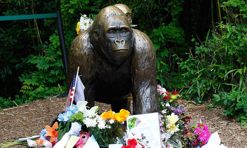 A Harambe memorial is shown outside the Cincinnati zoo.