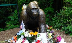 Read more

Tens of thousands back Harambe to be next US president