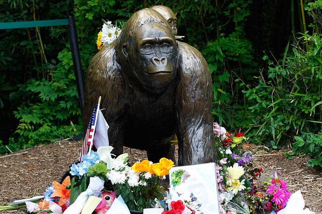 A Harambe memorial is shown outside the Cincinnati zoo.