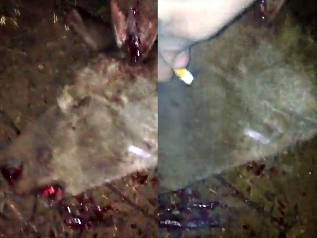 &#13;
Screenshots from the Snapchat video of a kangaroo being tortured by four young men &#13;