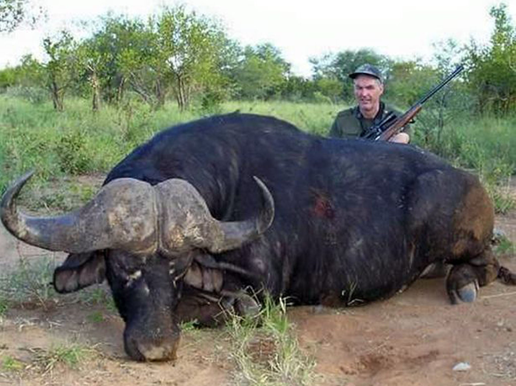 Mr Evans and a water buffalo he shot