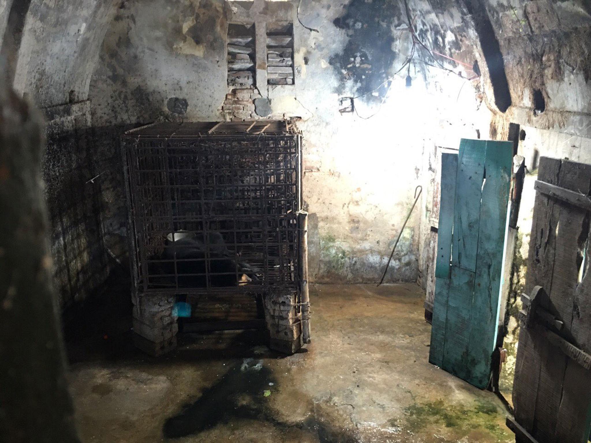 The room where Annemarie was kept caged (Animals Asia/Flickr )