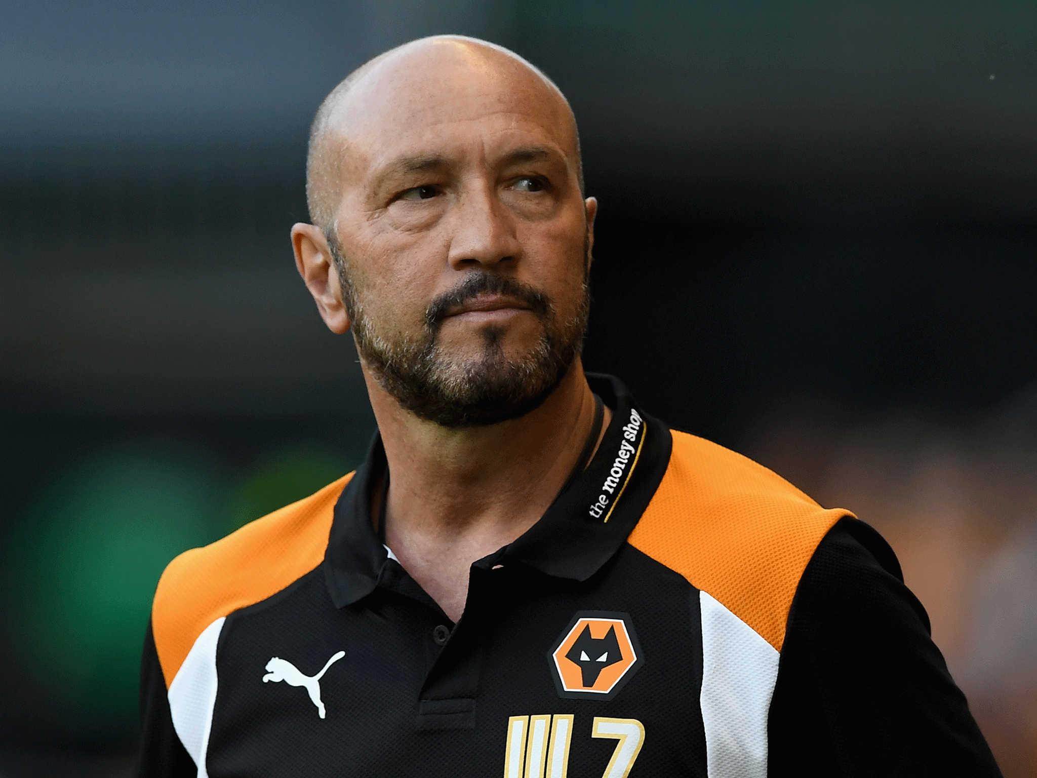 Zenga has made a bright start to life at Wolves
