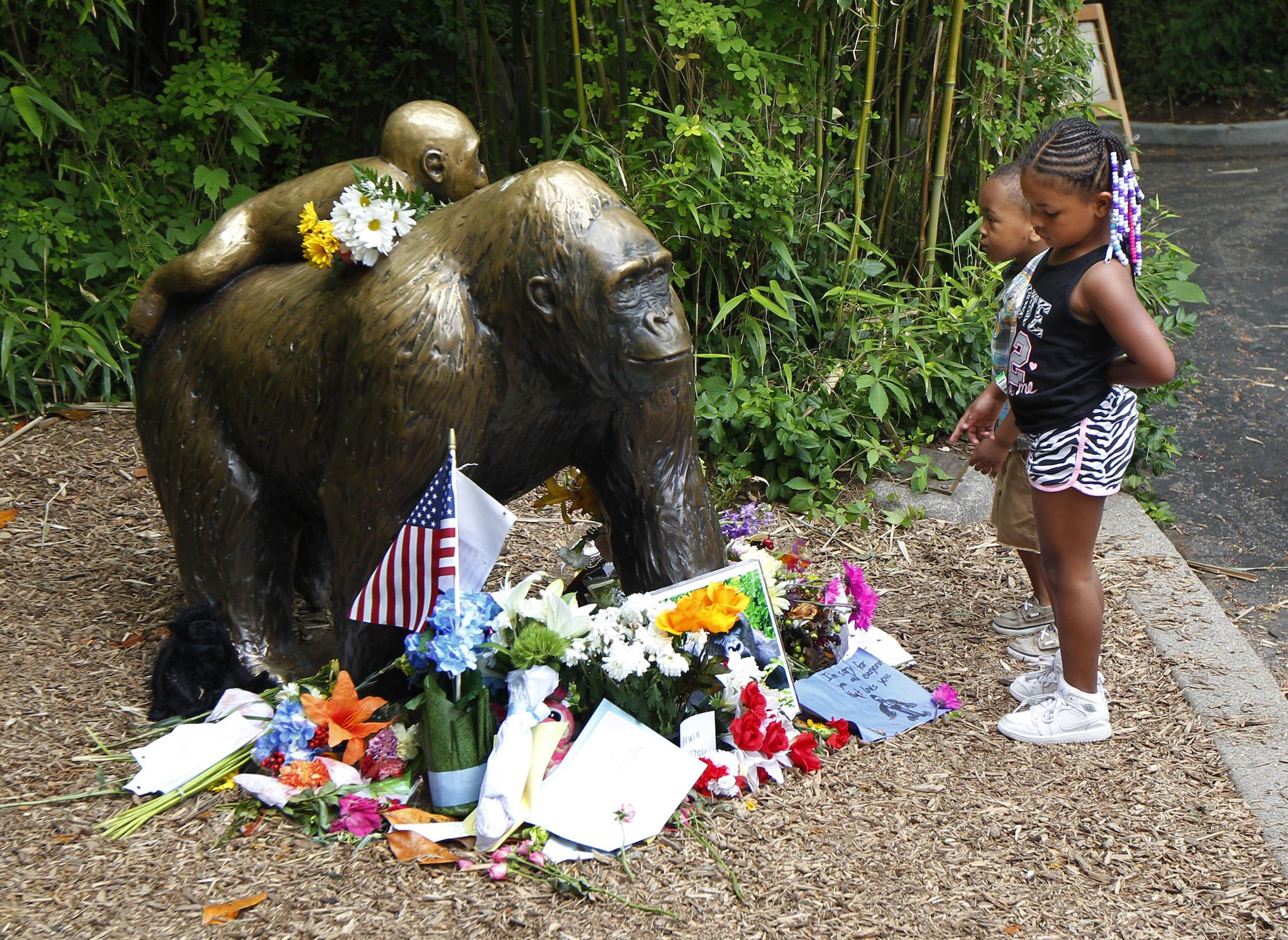 Visitors pay tribute to the gorilla who officials were forced to kill after a three-year-old boy fell into his enclosure