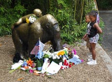 Read more

Stop making memes of Harambe, Cincinnati Zoo pleads