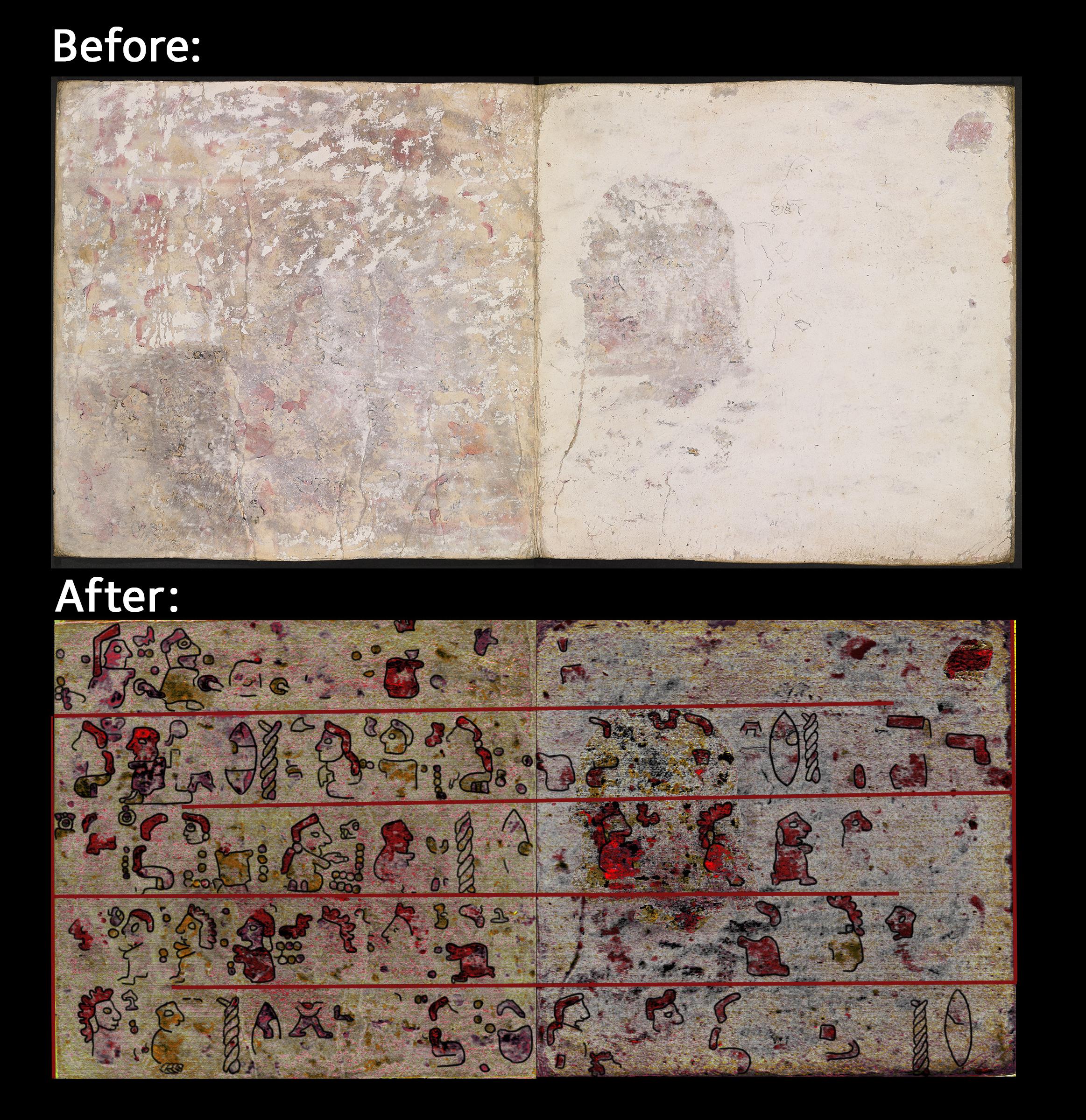 This image shows pages 10 and 11 of the back of Codex Selden. The top image shows the pages as they appear to the naked eye. The lower image has been created using hyperspectral imaging to show the hidden pictographic scenes that lie underneath a layer of plaster and chalk on the back of Codex Selden.