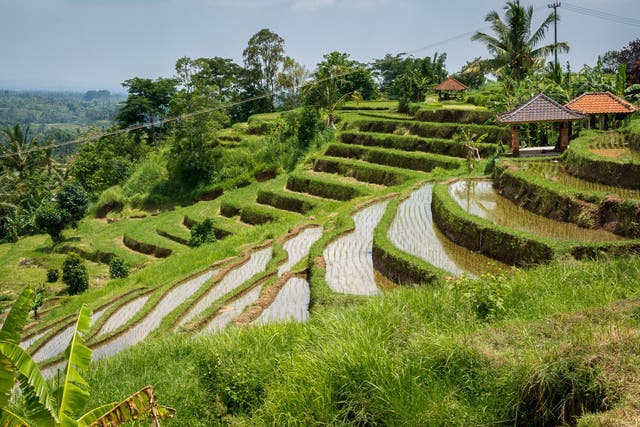 Bali, famous for its rice terraces, is a major tourist destination. However, buying currency outside the country doesn't offer great rates