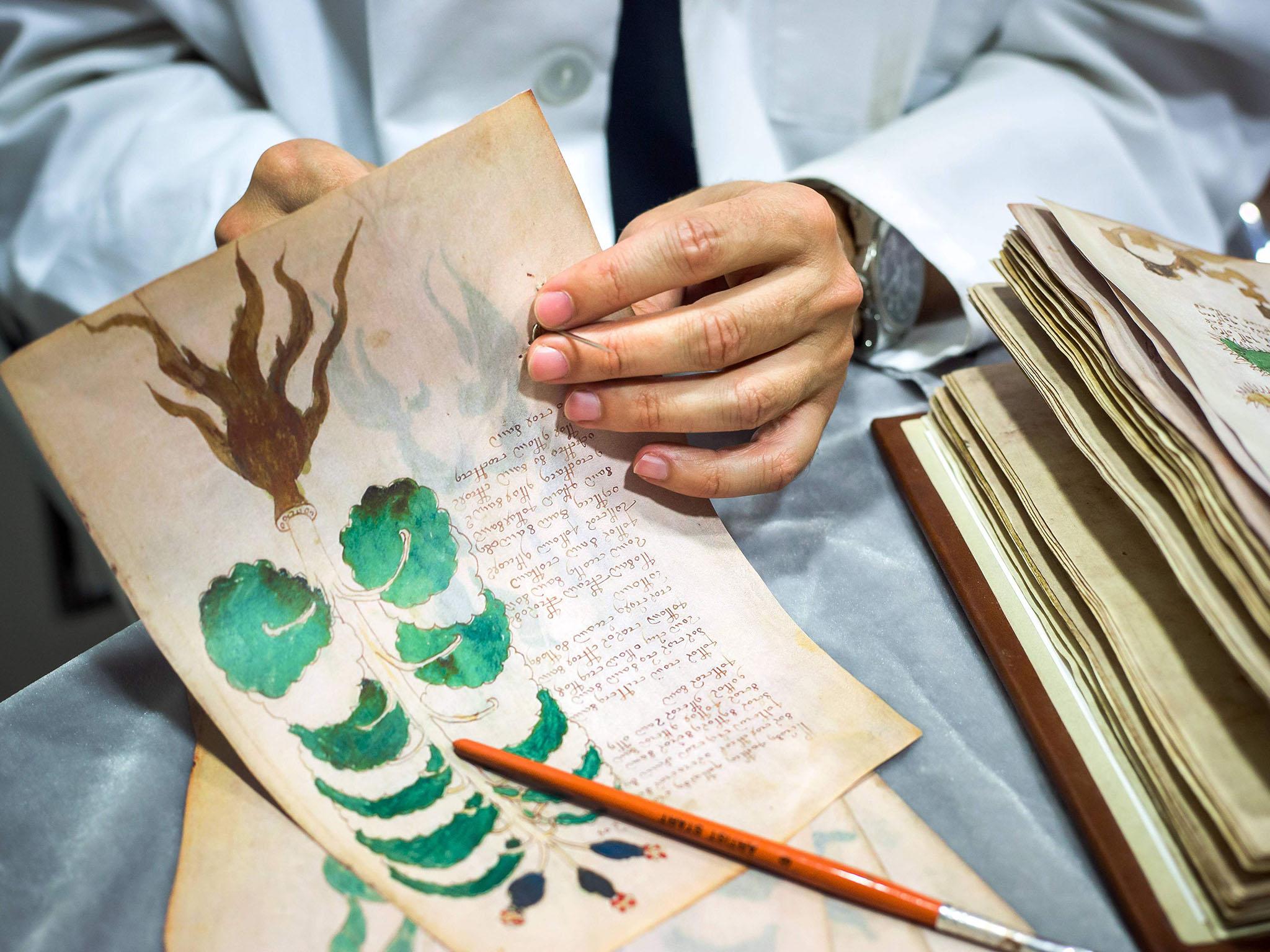 &#13;
The precious document containing elegant writing and strange drawings of unidentified plants and naked women is believed to have been written six centuries ago in an unknown or coded language that no one -- not even the best cryptographers -- has ever cracked&#13;