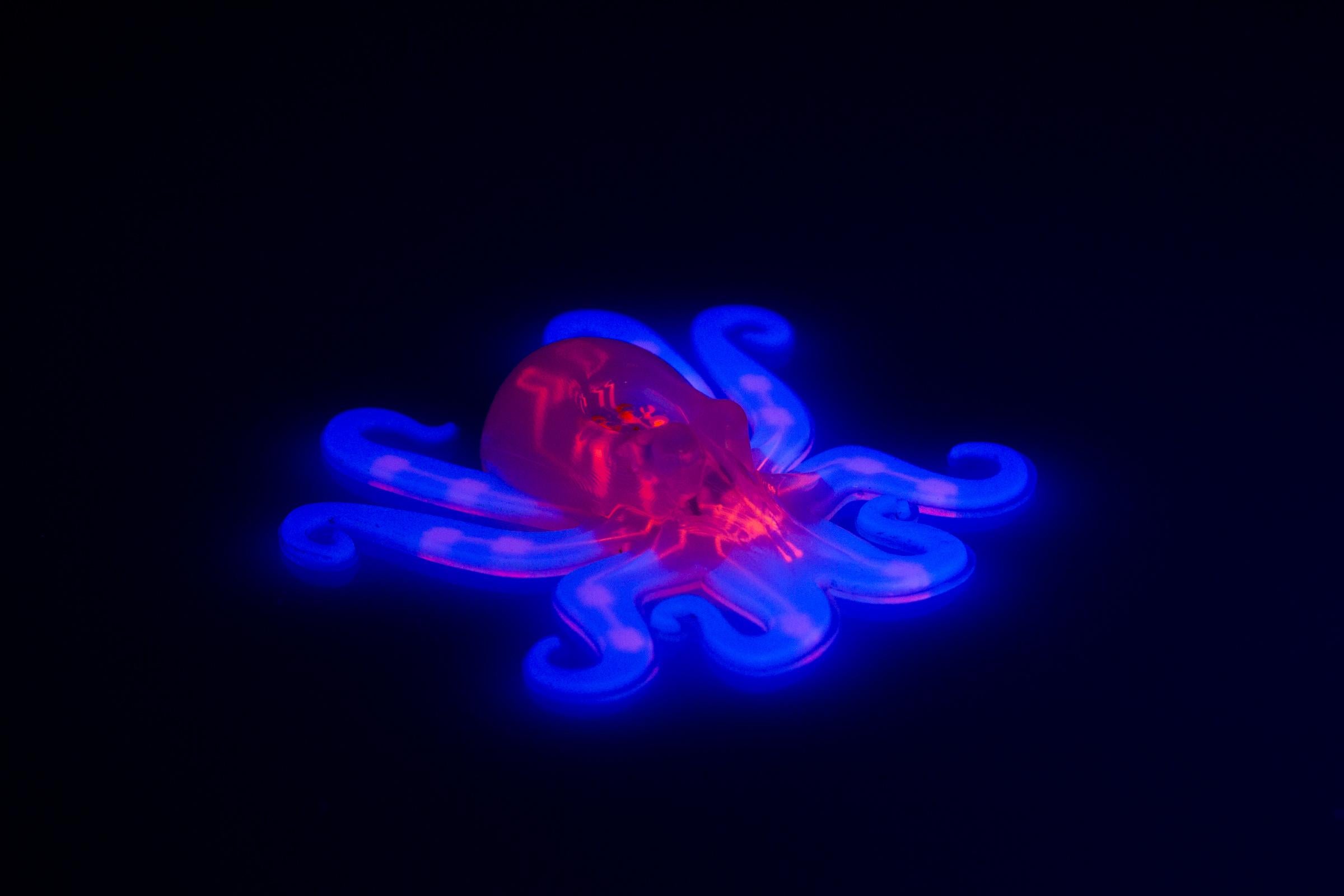 Meet Octobot, an entirely soft, autonomous robot, designed by engineers at Harvard University