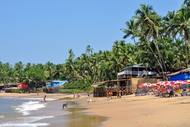 Goa’s beaches can be reached by direct flight from London – but how cheaply?