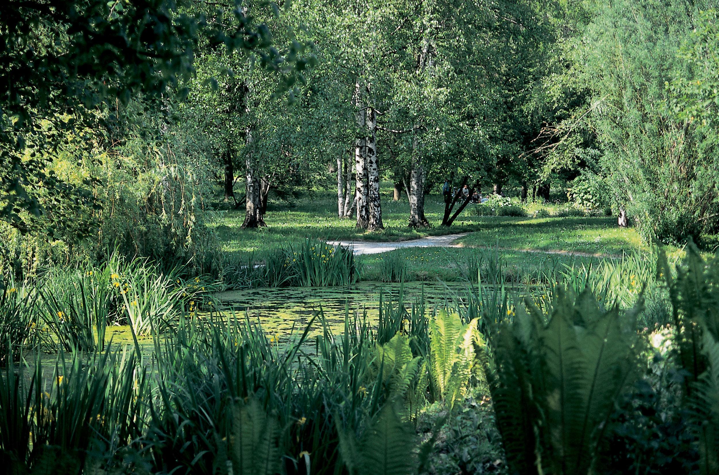 Follow the trail to the Botanic Garden