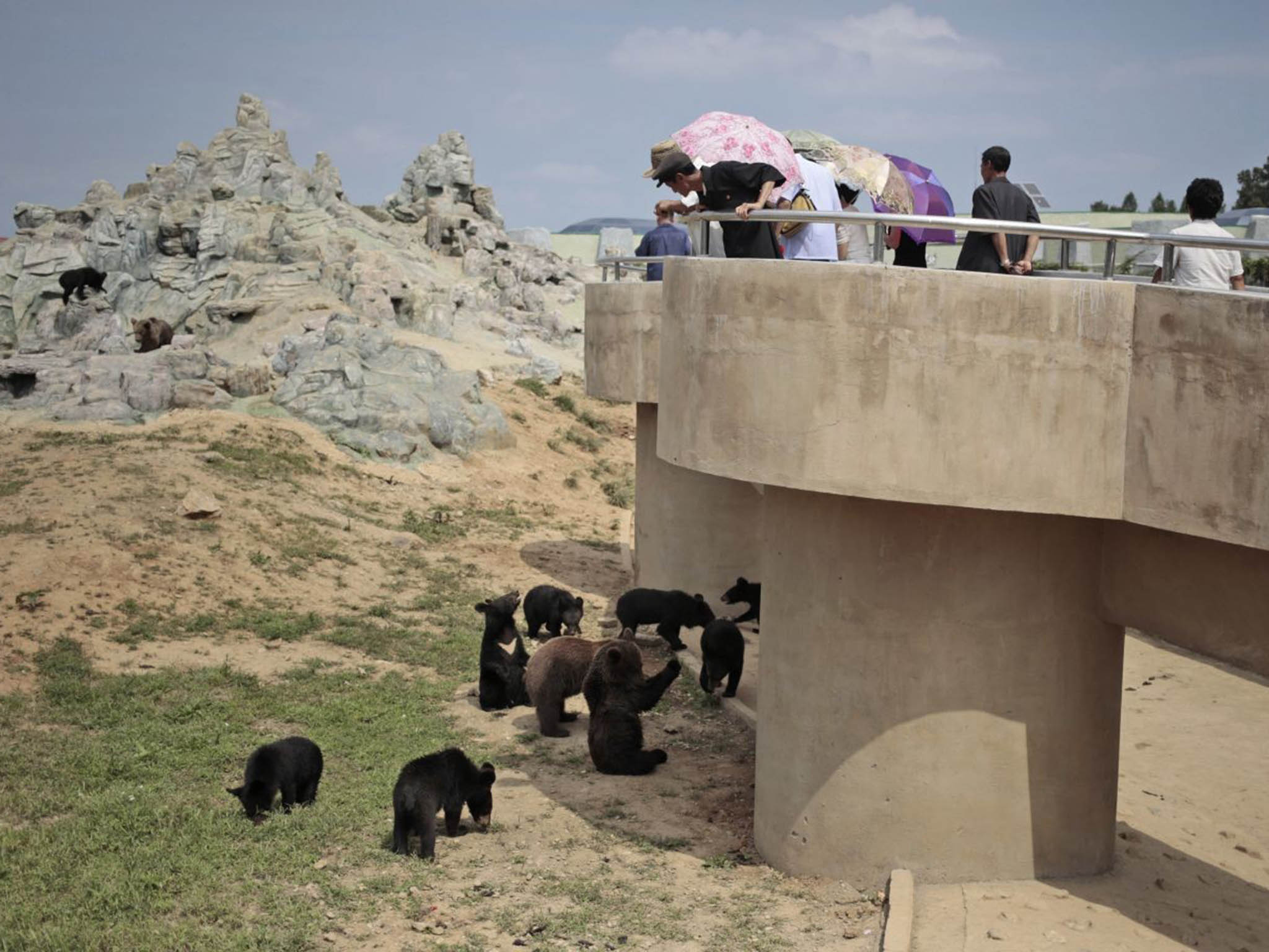 North Koreans observe the bears at the newly opened zoo