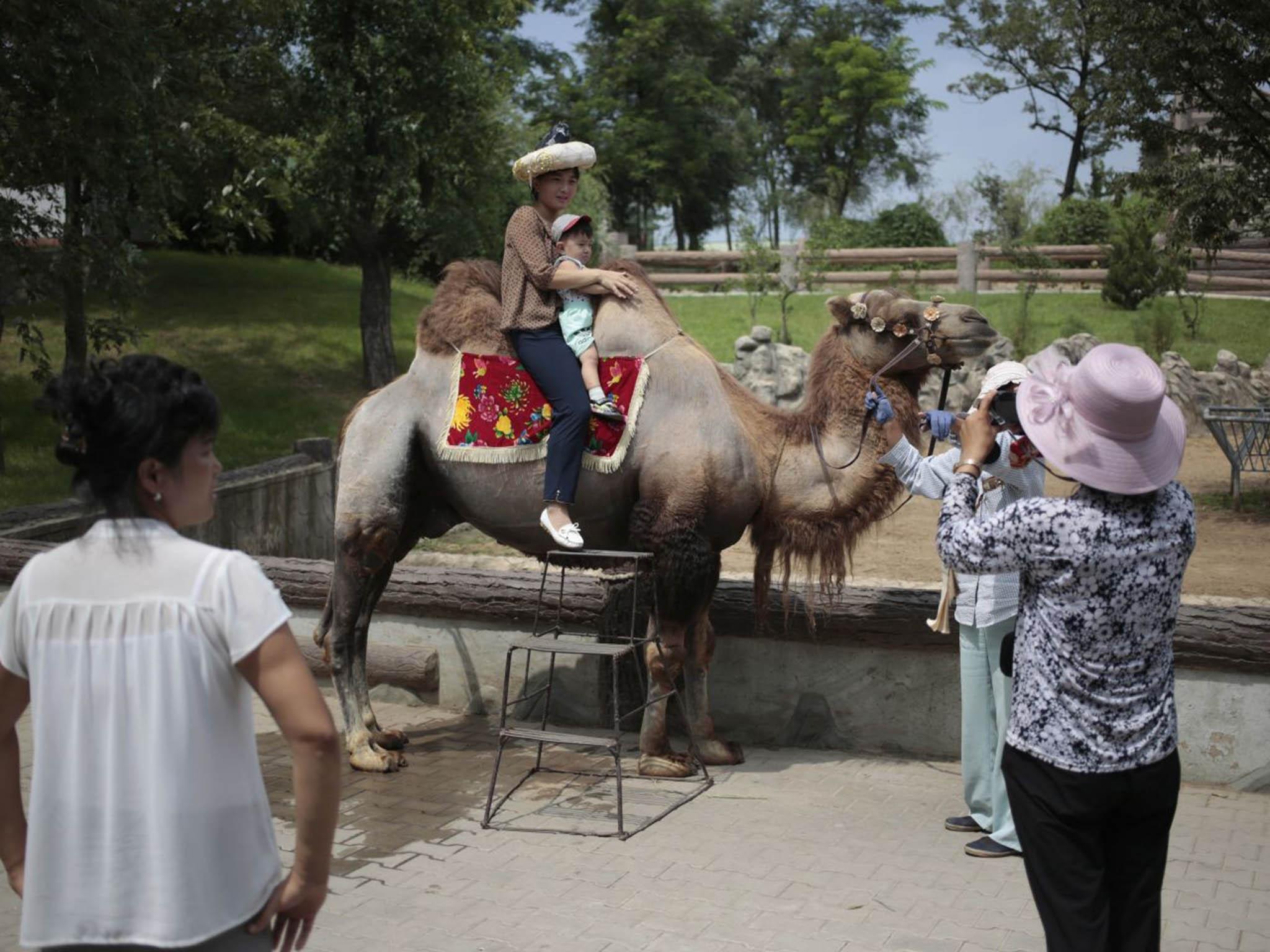 North Korea opens its doors to the newly renovated central zoo | The