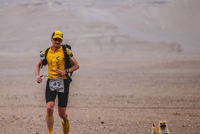 Dion Leonard running with Gobi during an ultramarathon in China's vast desert