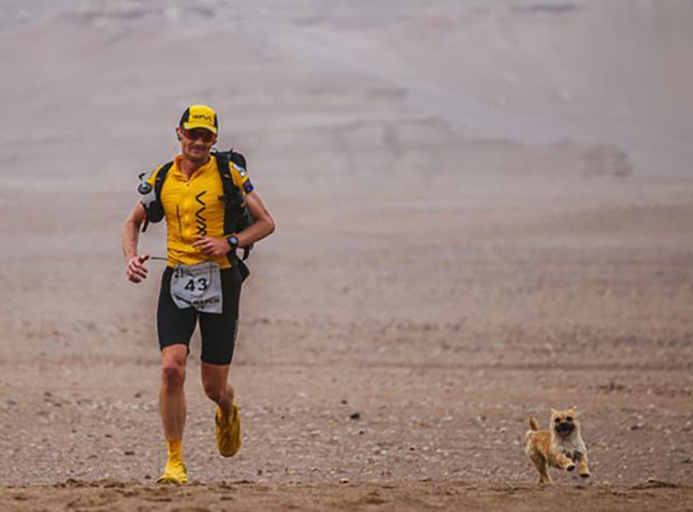 Dion Leonard running with Gobi during an ultramarathon in China's vast desert