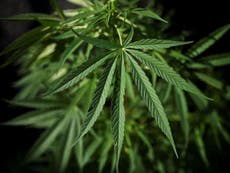 Cannabis drug developer GW pharma cancels london stock market listing