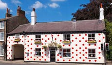 Read more

Yorkshire's world-famous Spotty House for sale - the dots are optional