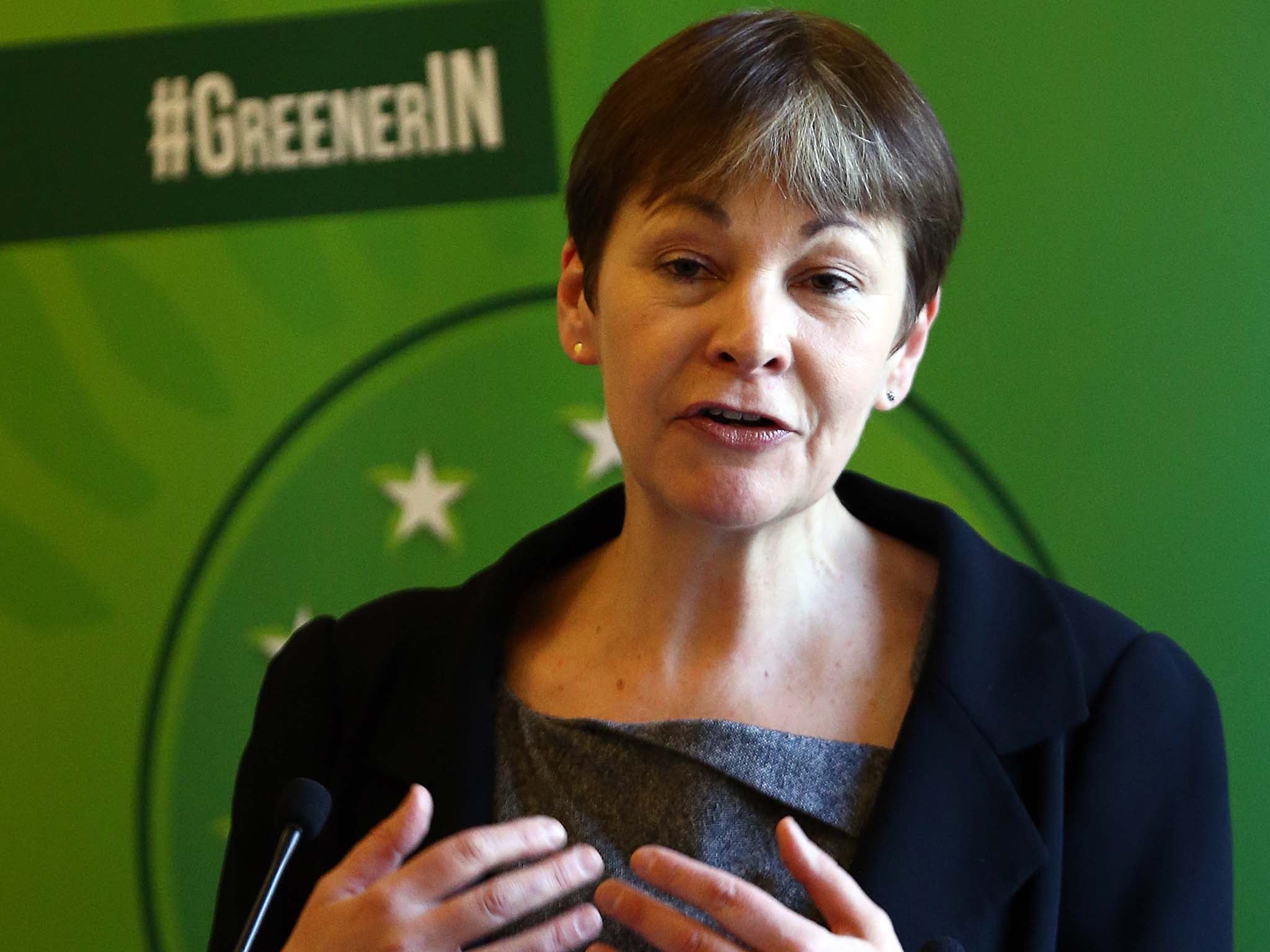 ‘We the people should continue to have our say’, according to Green Party leader Caroline Lucas