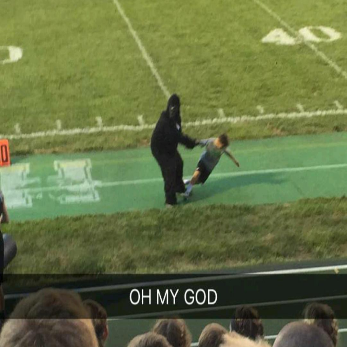 Harambe: Man in gorilla costume drags children around Cincinnati football  pitch in tribute to killed primate | The Independent | The Independent