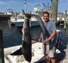 New York governor Andrew Cuomo triggers outcry by killing threatened shark