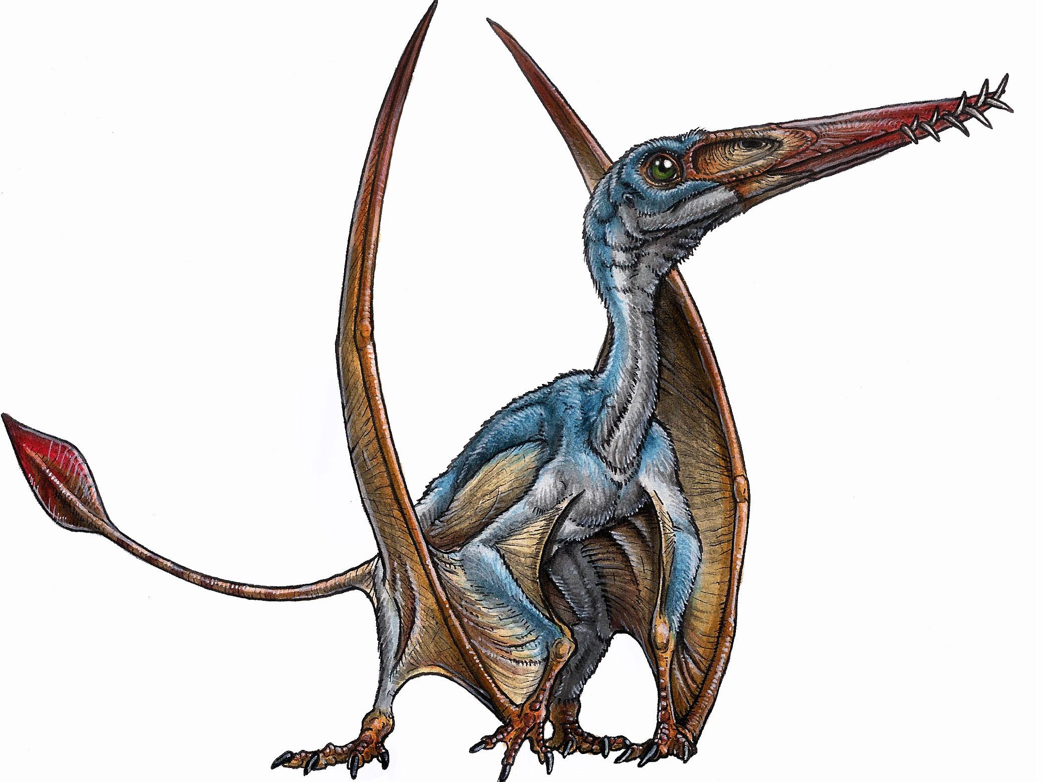 An artist's impression of a pterosaur