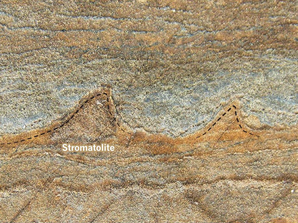 Conical peaks of fossilised stromatolite-like structures within 3.7 billion-year-old rocks
