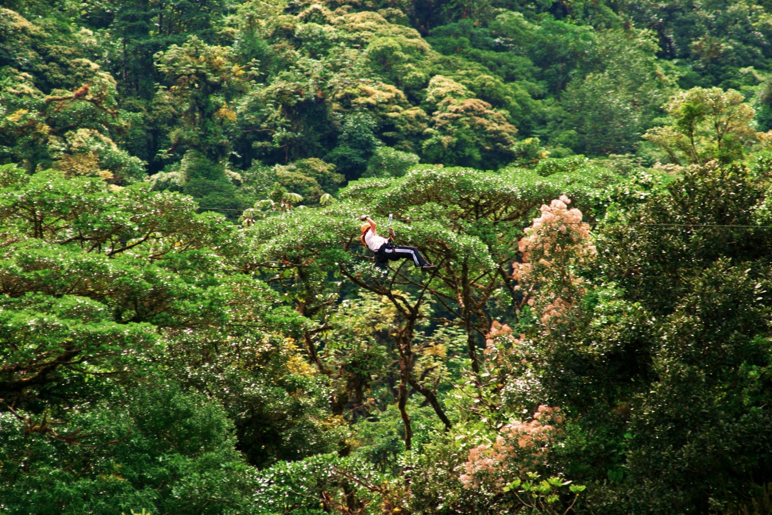 Costa Rica is a destination for adrenaline junkies as much as wildlife fanatics, with a zip wire ride through the rainforest canopy among the essentials