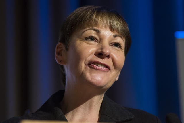Caroline Lucas, who will share the post