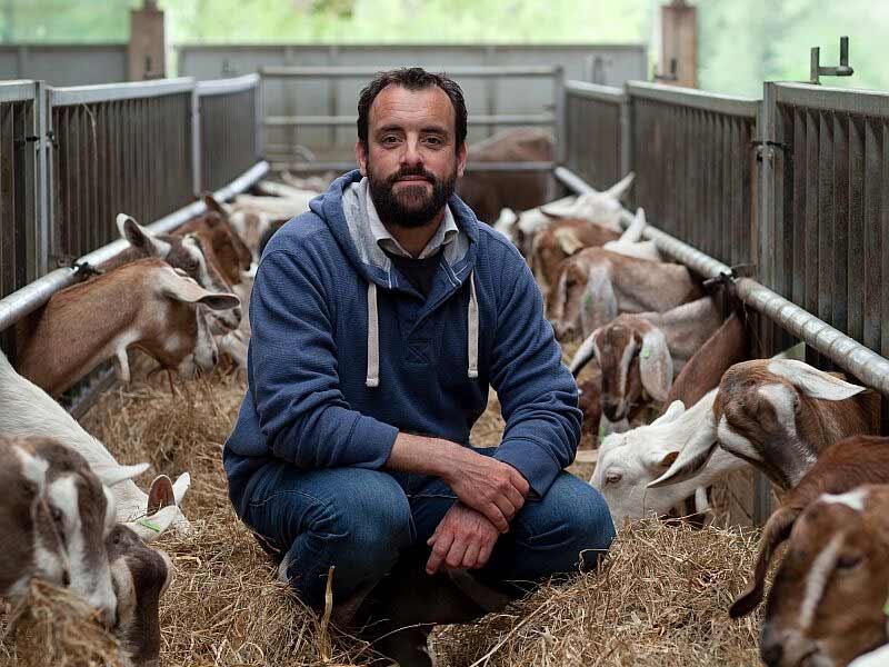 James Whetlor: an estimated 40,000 male billy goats essentially go to waste because Britons consume goat's cheese and milk in large quantities, but not goat meat.