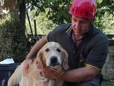 Italy earthquake: Barking dog found alive in rubble after nine days