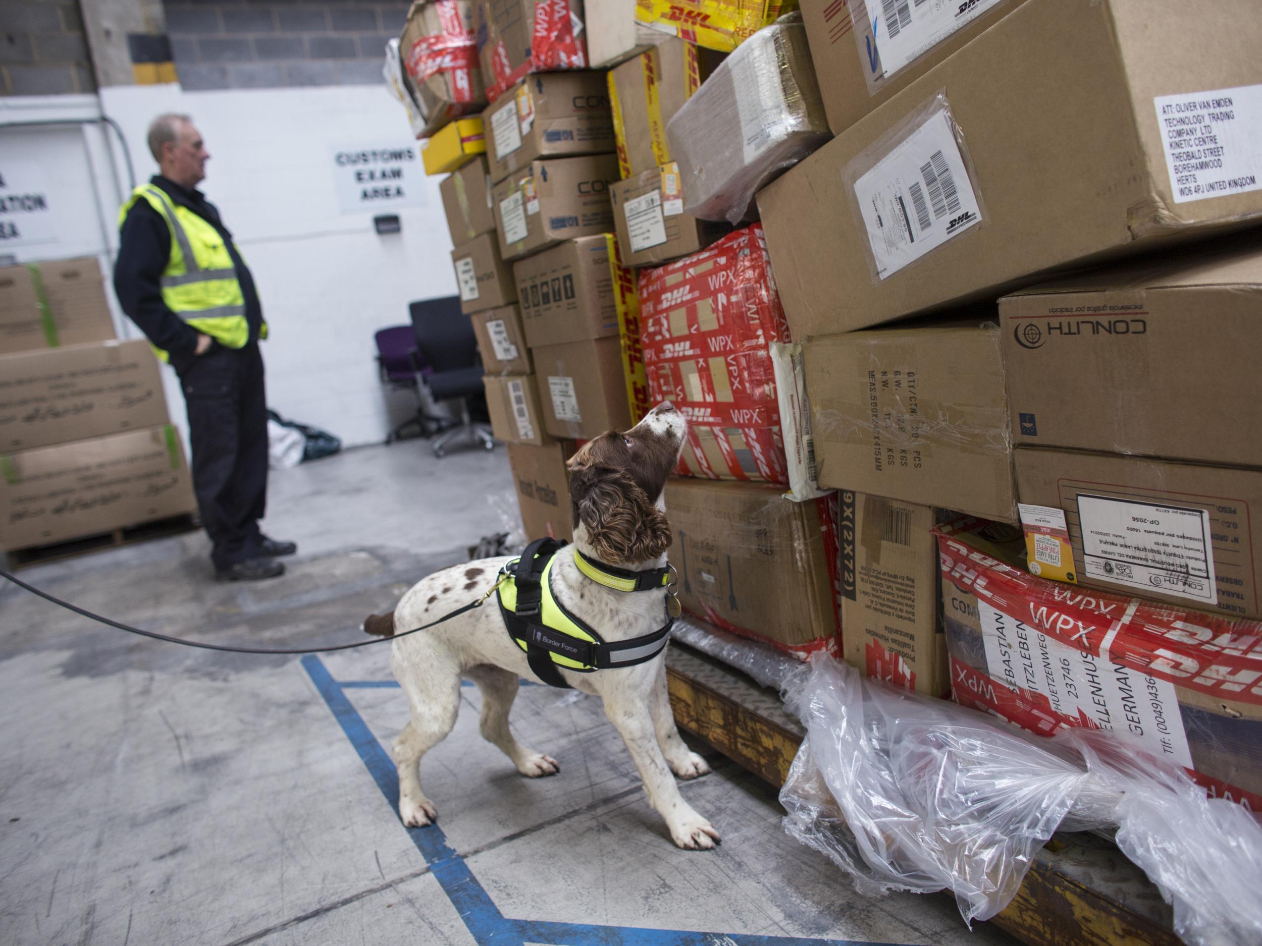 A Border Force dog checks freight for illegal drugs