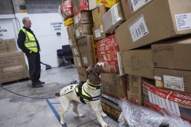 A Border Force dog checks freight for illegal drugs