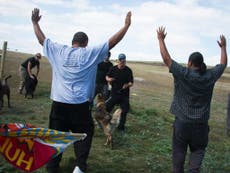 Dakota Access pipeline protesters 'attacked' with dogs and mace