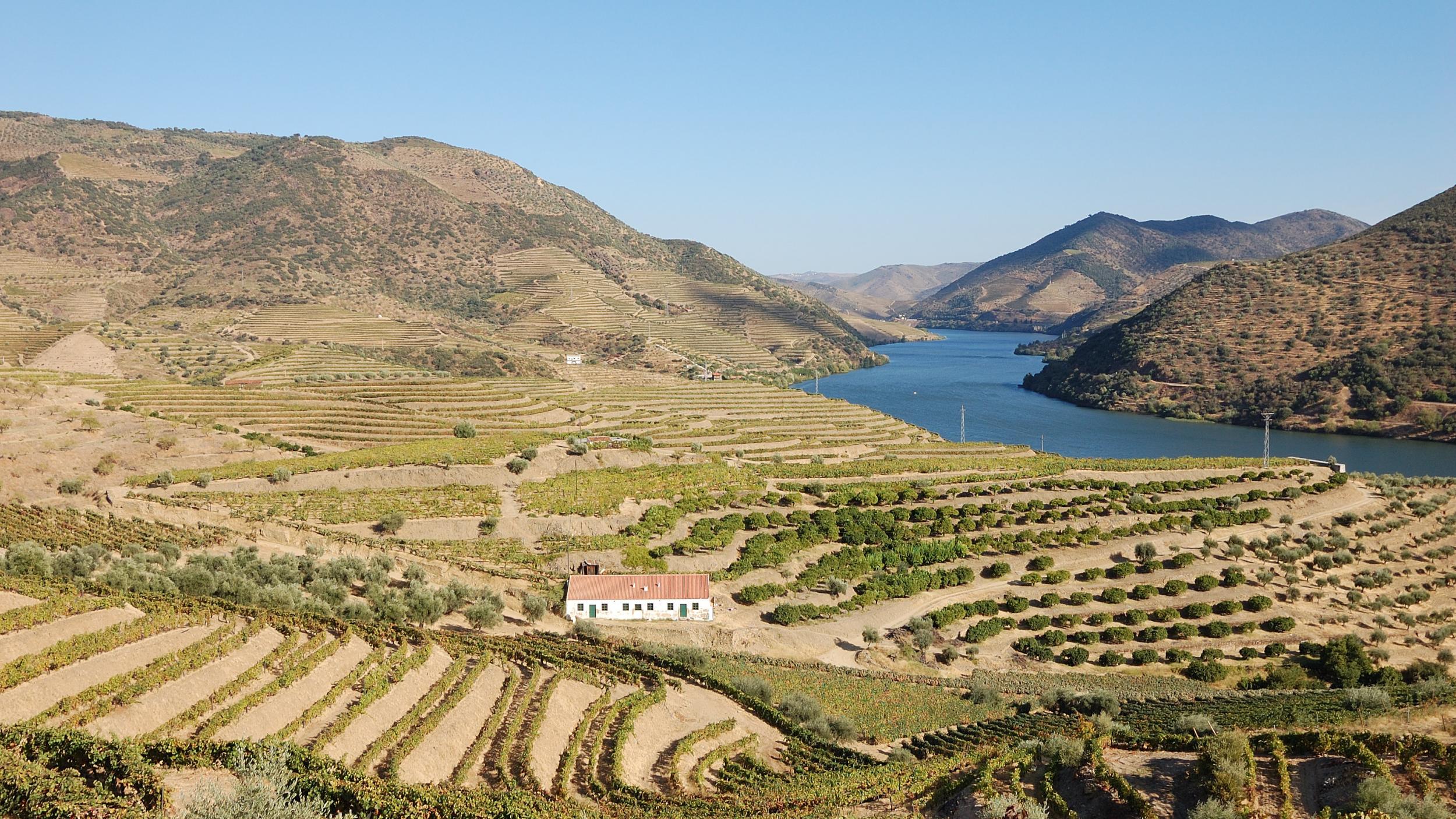 The Douro Valley, dotted with port wine estates, is a Unesco World Heritage Site and looks particularly lovely from a train window