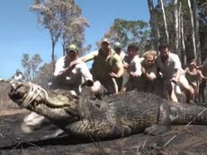 Steve Irwin’s daughter shares video of herself wrestling a crocodile