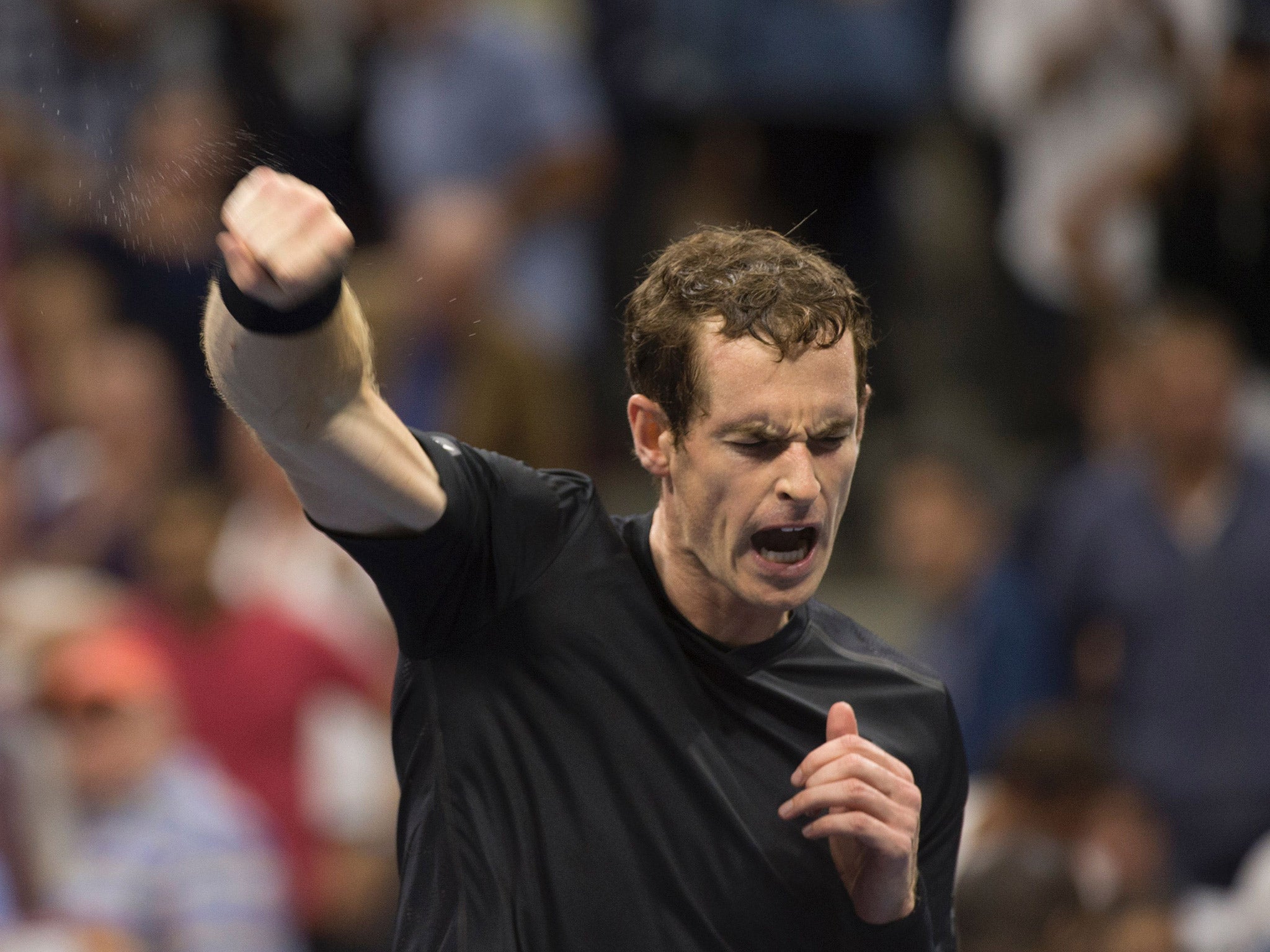 Murray celebrates his fourth round victory over Dimitrov