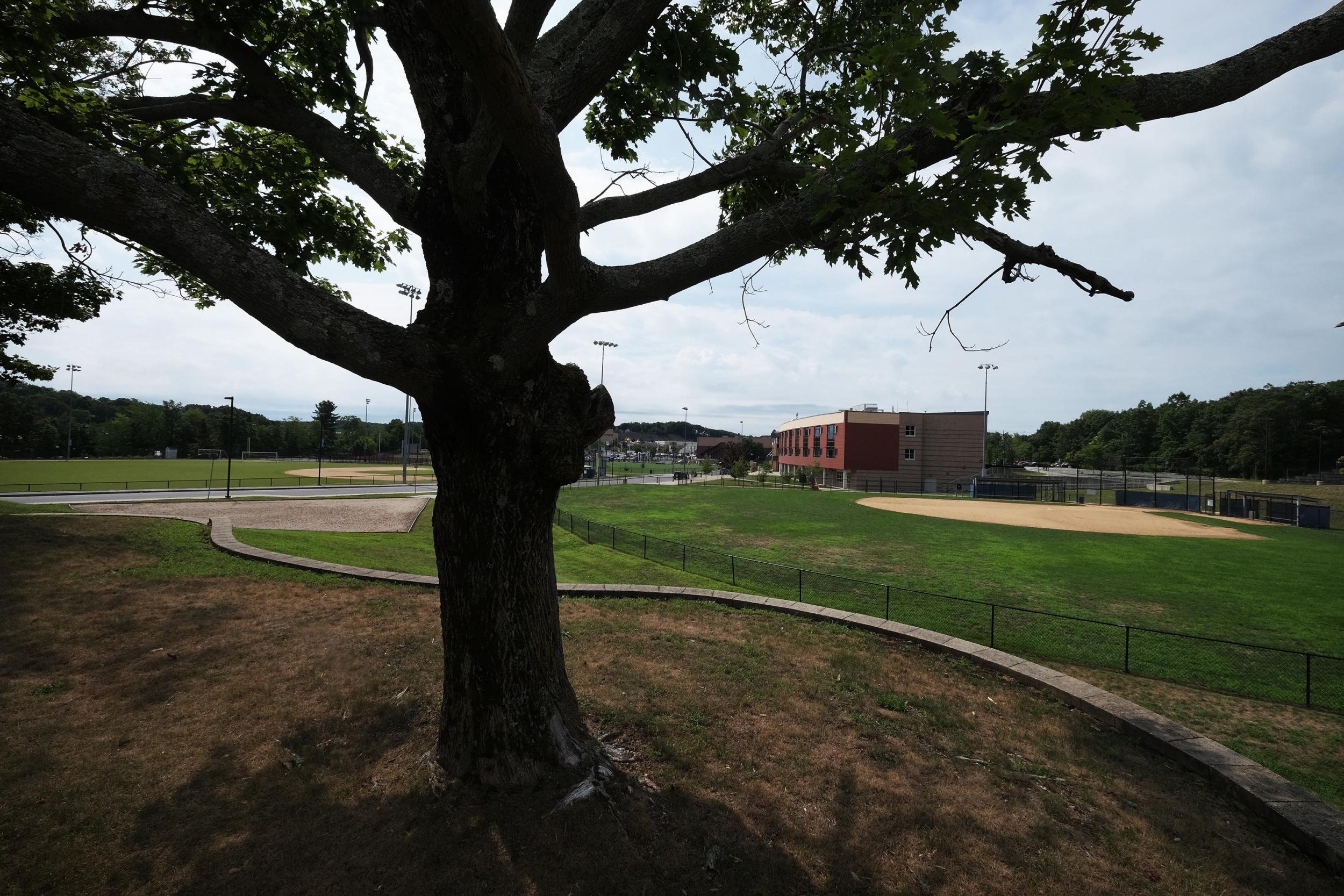 The high school where Maureen and the boy pass each day in the halls. They are purposefully not placed in classes together