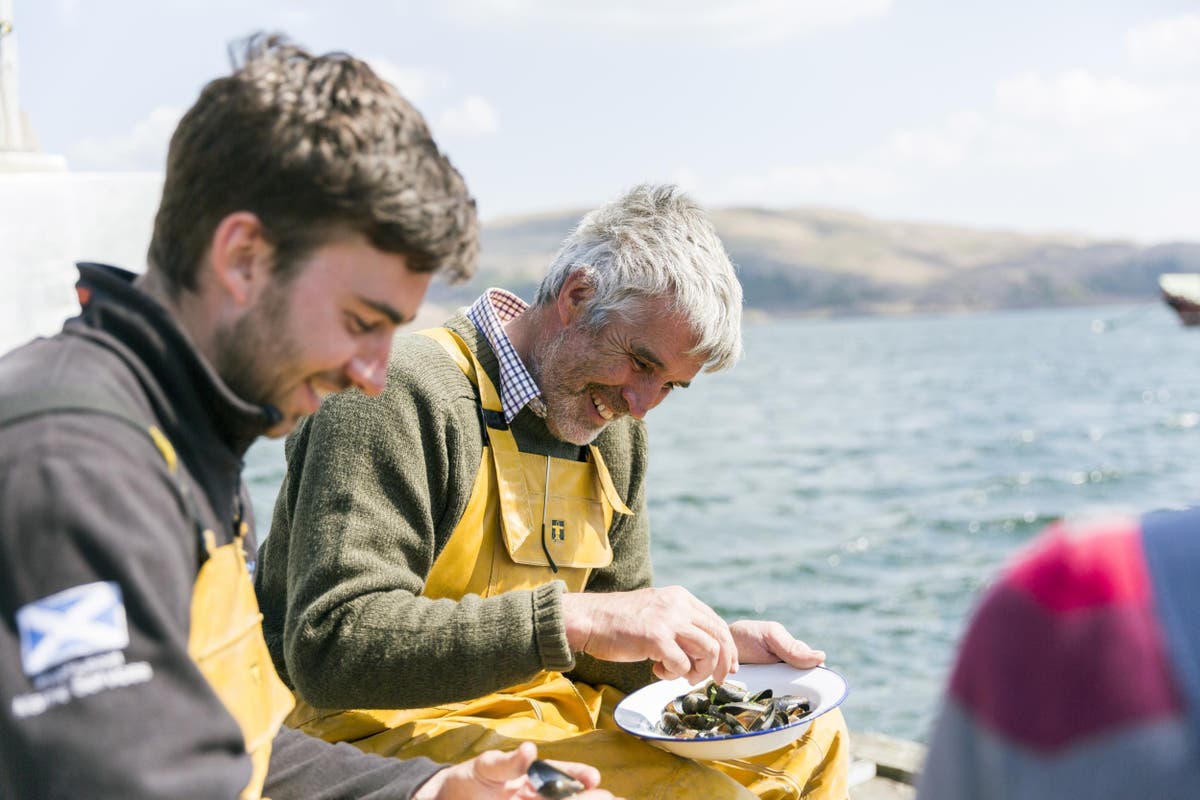 Lidl flexes its sustainable mussels The Independent The Independent