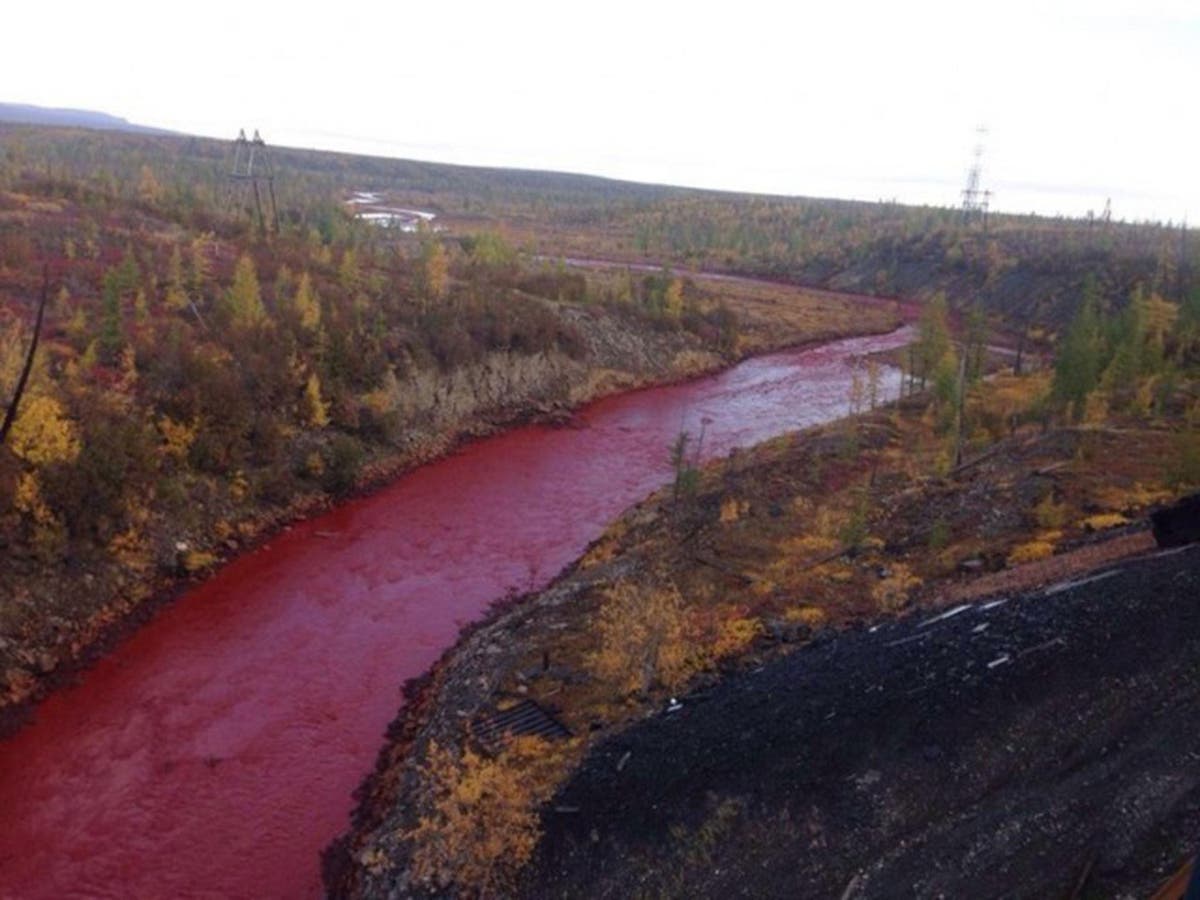 Бывает красная река. Река Далдыкан в Норильске. Красная река Далдыкан. Кровавая река Далдыкан Норильск. Норильск красная река Далдыкан.